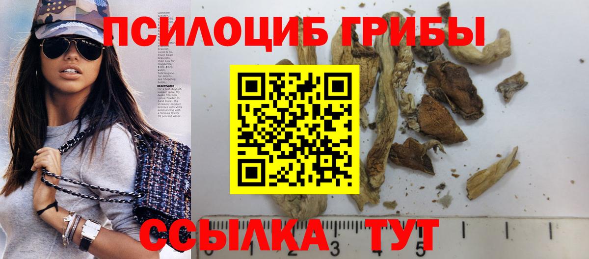 Псилоцибиновые грибы GOLDEN TEACHER  где купить наркоту  Кимры  Вход с VPN 